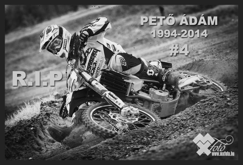 Peto_Adam