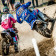 MXGP Assen – Videó